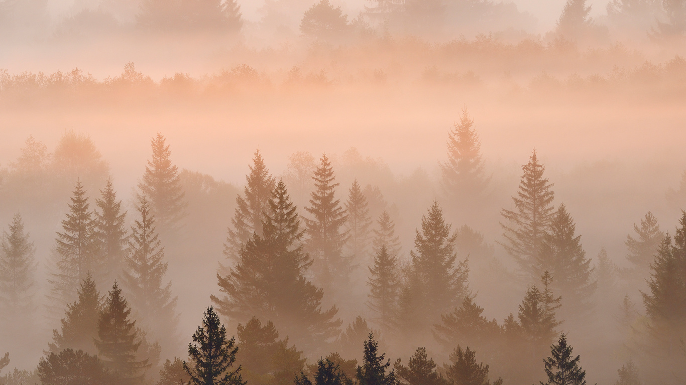 Обои Nokia C31 4 ГБ 64 ГБ 6 7 две SIM-карты, Nokia, нокиа 5300, смартфон, дымка в разрешении 1366x768