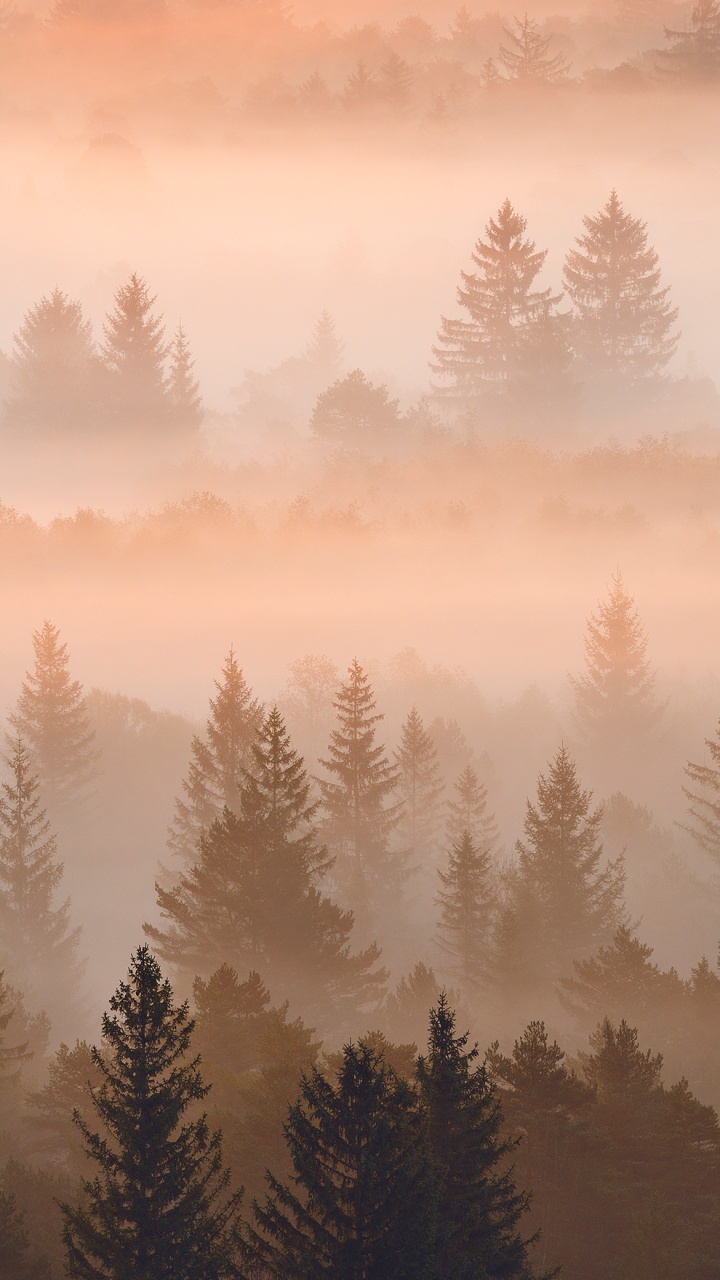 Обои Nokia C31 4 ГБ 64 ГБ 6 7 две SIM-карты, Nokia, нокиа 5300, смартфон, дымка в разрешении 720x1280