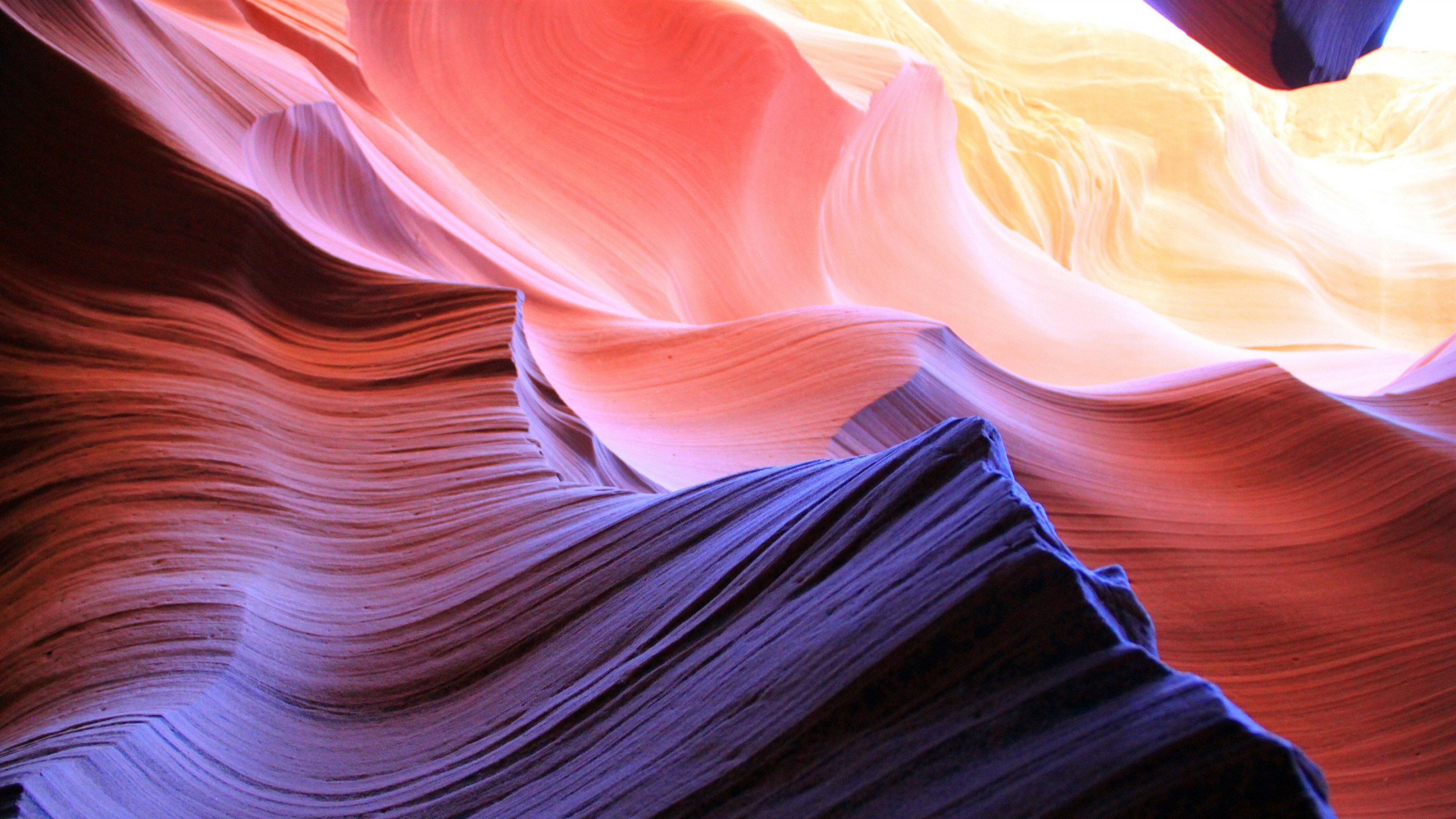 Обои пурпур, розовый, свет, телевидение, светоизлучающий диод в разрешении 2560x1440