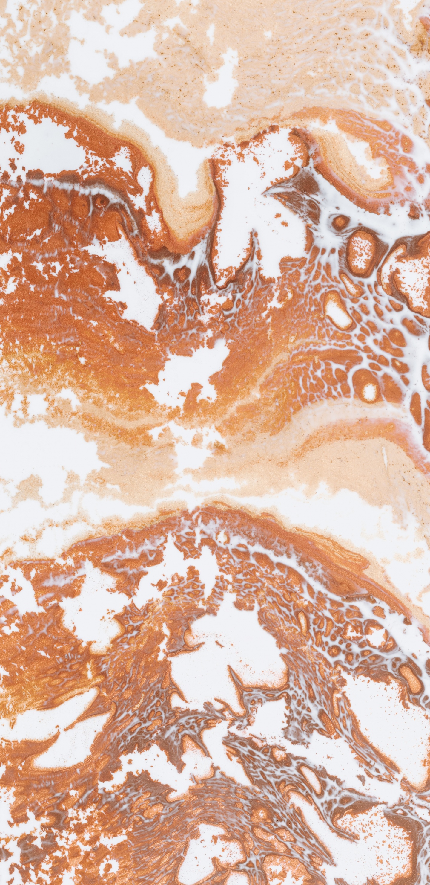 Обои иллюстрация, крупный план в разрешении 1440x2960