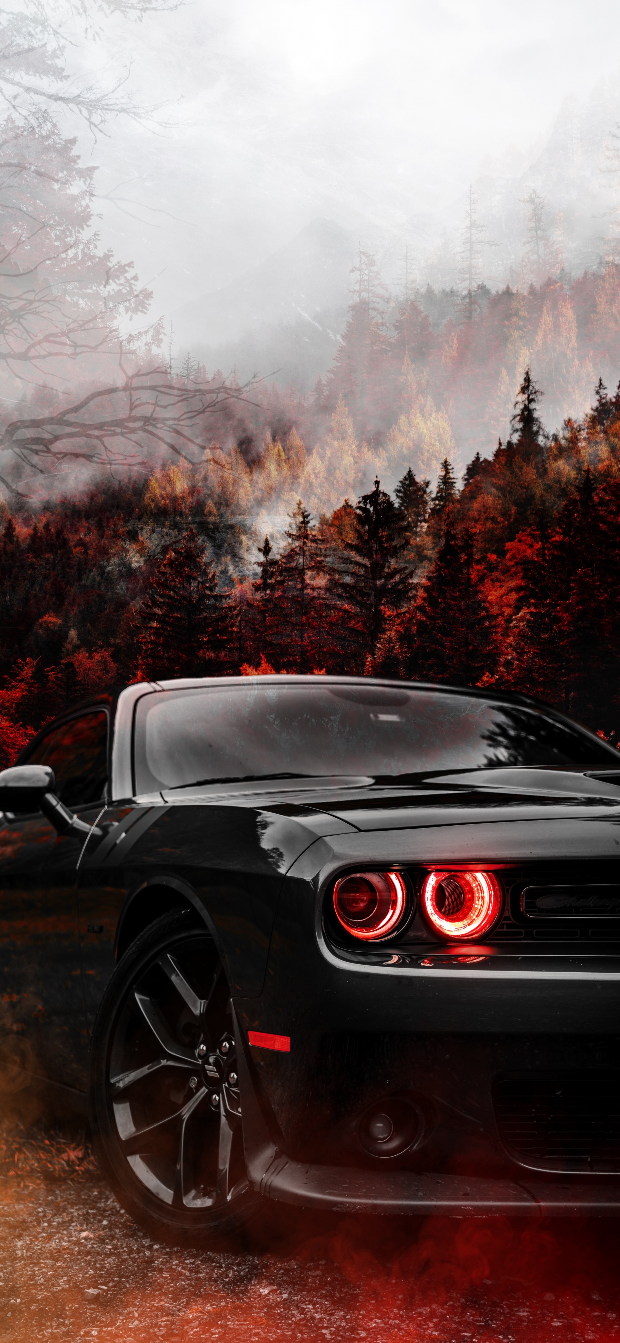 Обои Додж Челленджер, dodge, Додж Демон, Dodge Challenger широкоформатный Redeye, легковые автомобили в разрешении 1242x2688