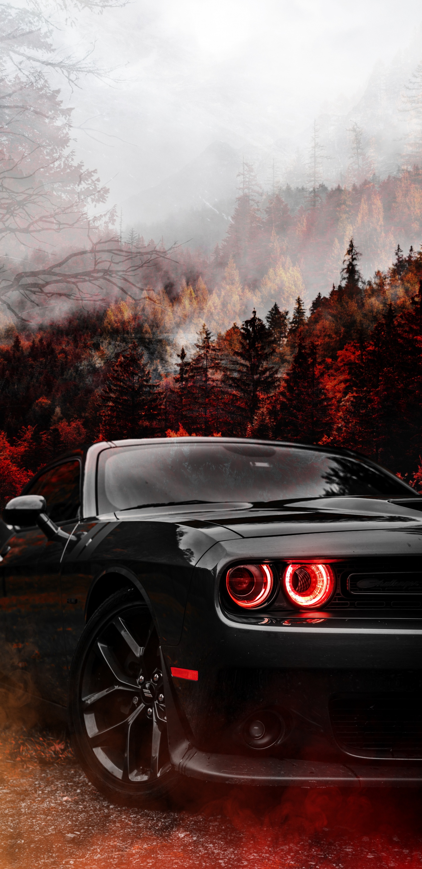 Обои Додж Челленджер, dodge, Додж Демон, Dodge Challenger широкоформатный Redeye, легковые автомобили в разрешении 1440x2960