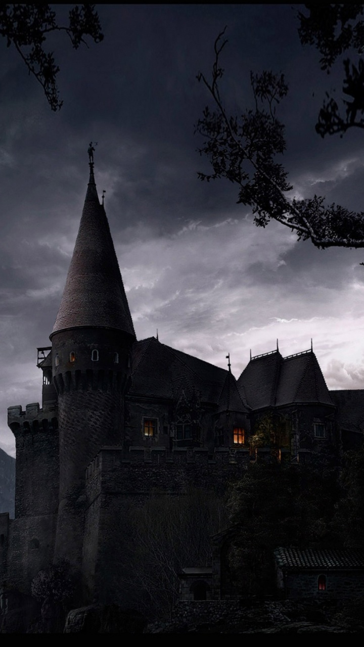 Обои дерево, облако, тьма, ночь в разрешении 720x1280