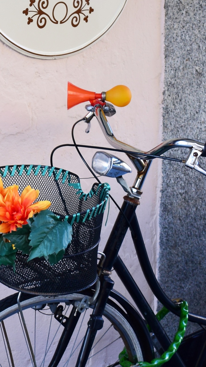 Обои велосипед, цветы, корзина в разрешении 720x1280