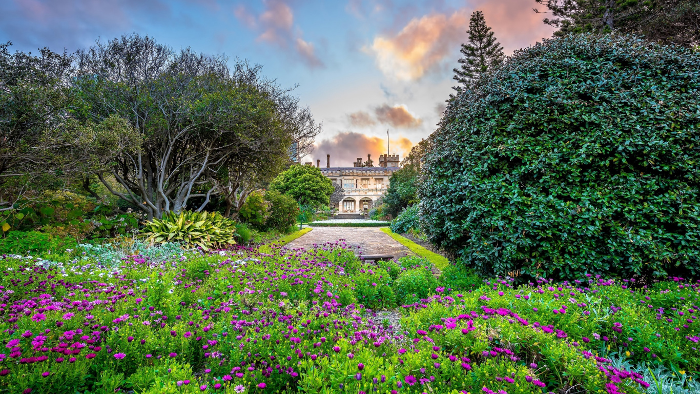 Обои сад, Ботанический сад, природа, растительность, цветок в разрешении 1366x768