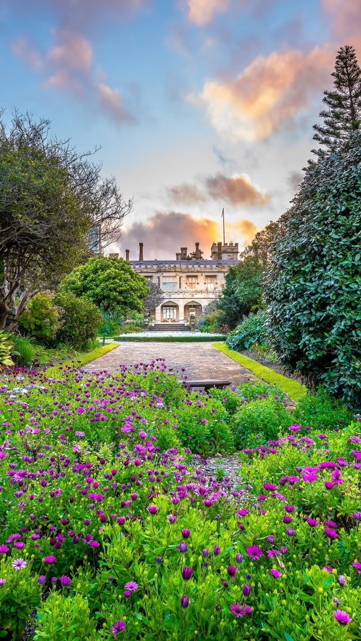 Обои сад, Ботанический сад, природа, растительность, цветок в разрешении 720x1280