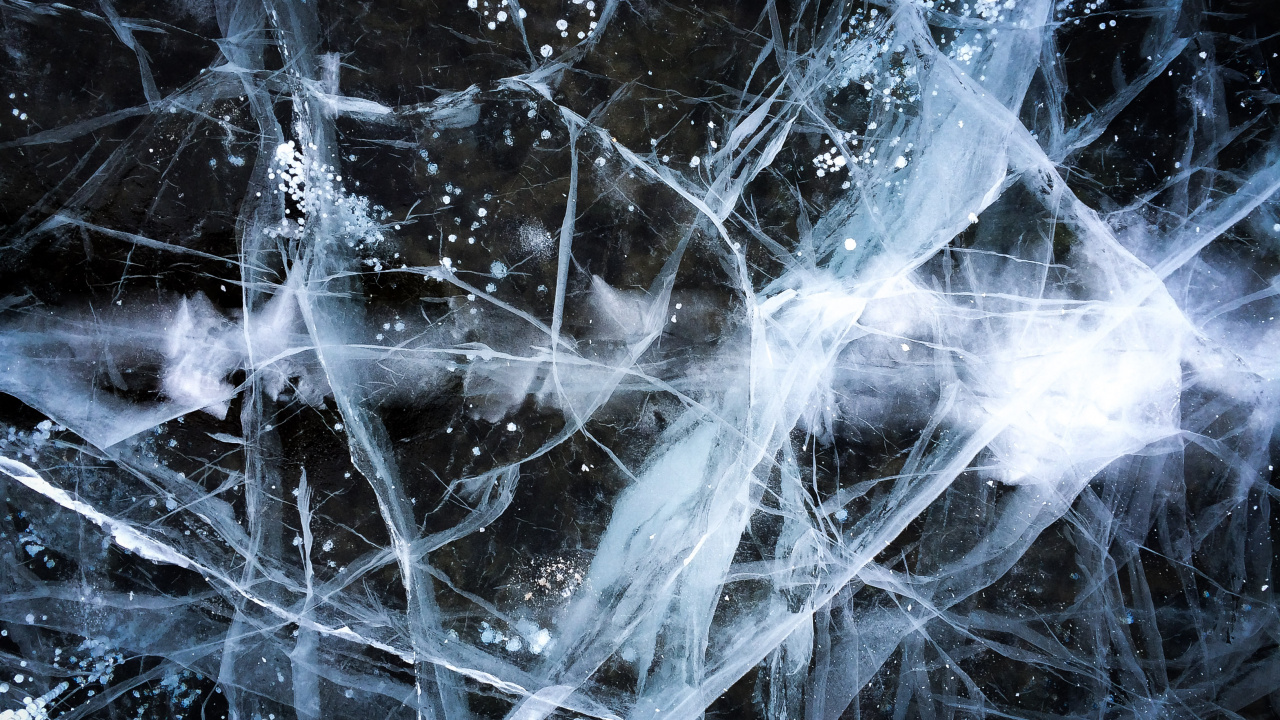 Обои вода, ветвь, лед, замораживание, водка в разрешении 1280x720