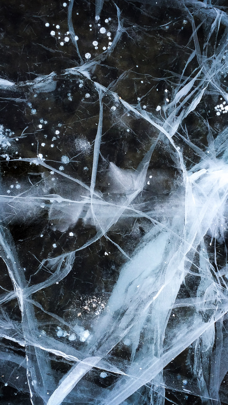 Обои вода, ветвь, лед, замораживание, водка в разрешении 750x1334