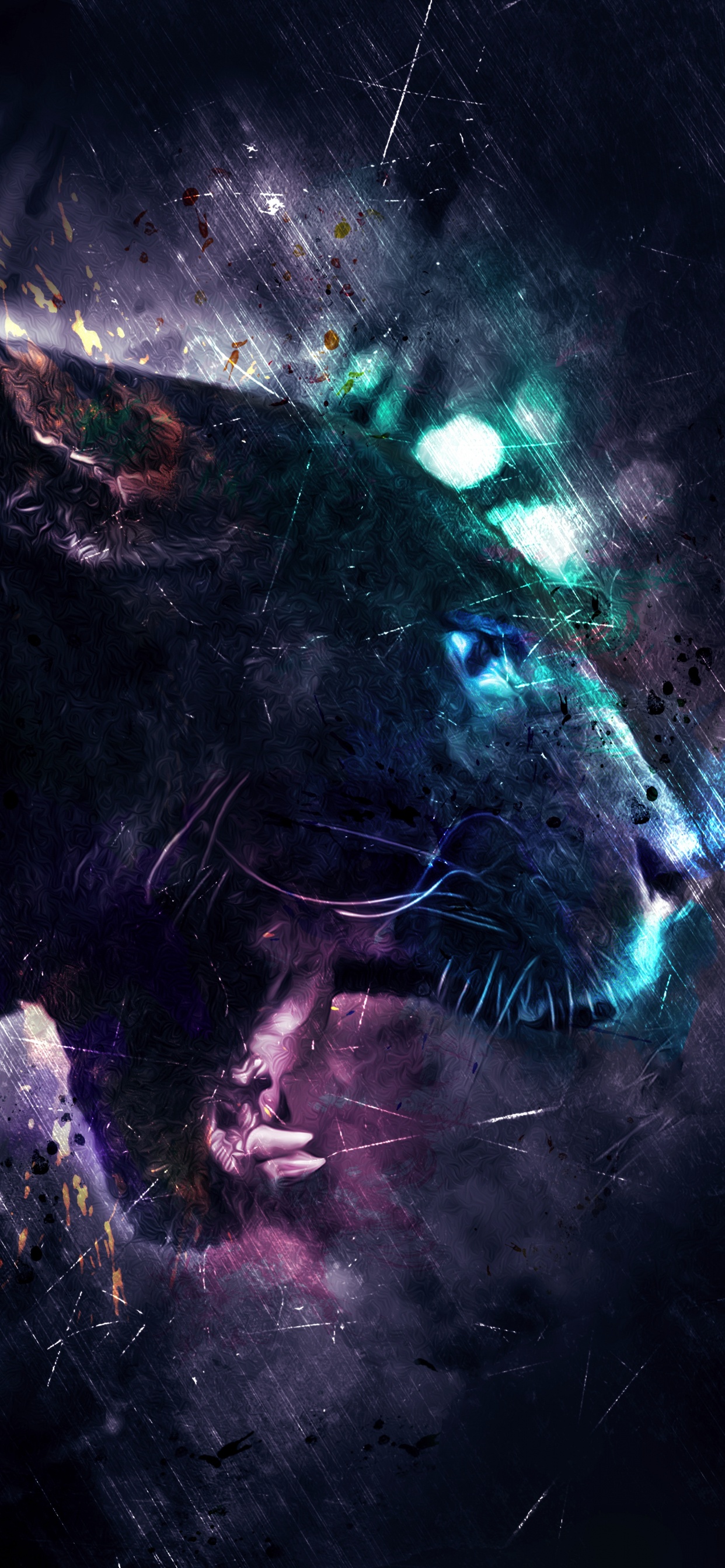 Обои темнота, кошачьих, волк, астрономический объект, бакенбарды в разрешении 1242x2688