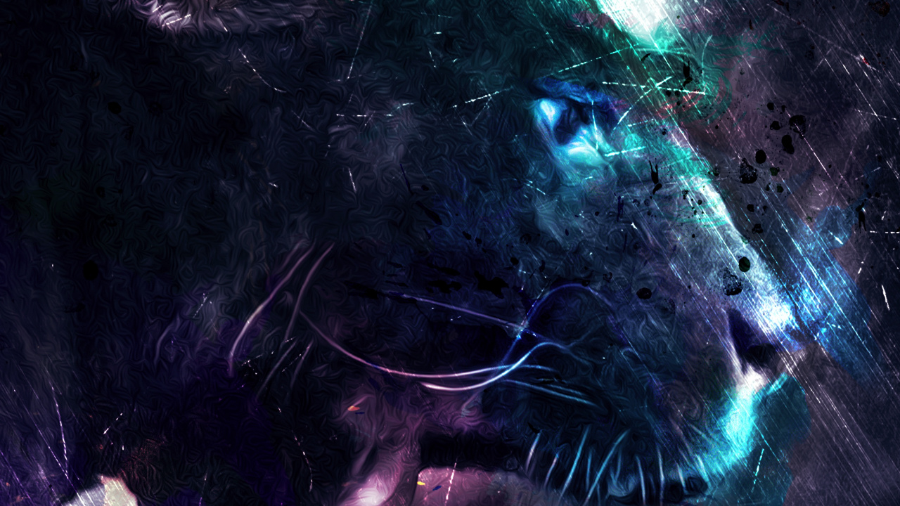 Обои темнота, кошачьих, волк, астрономический объект, бакенбарды в разрешении 1280x720