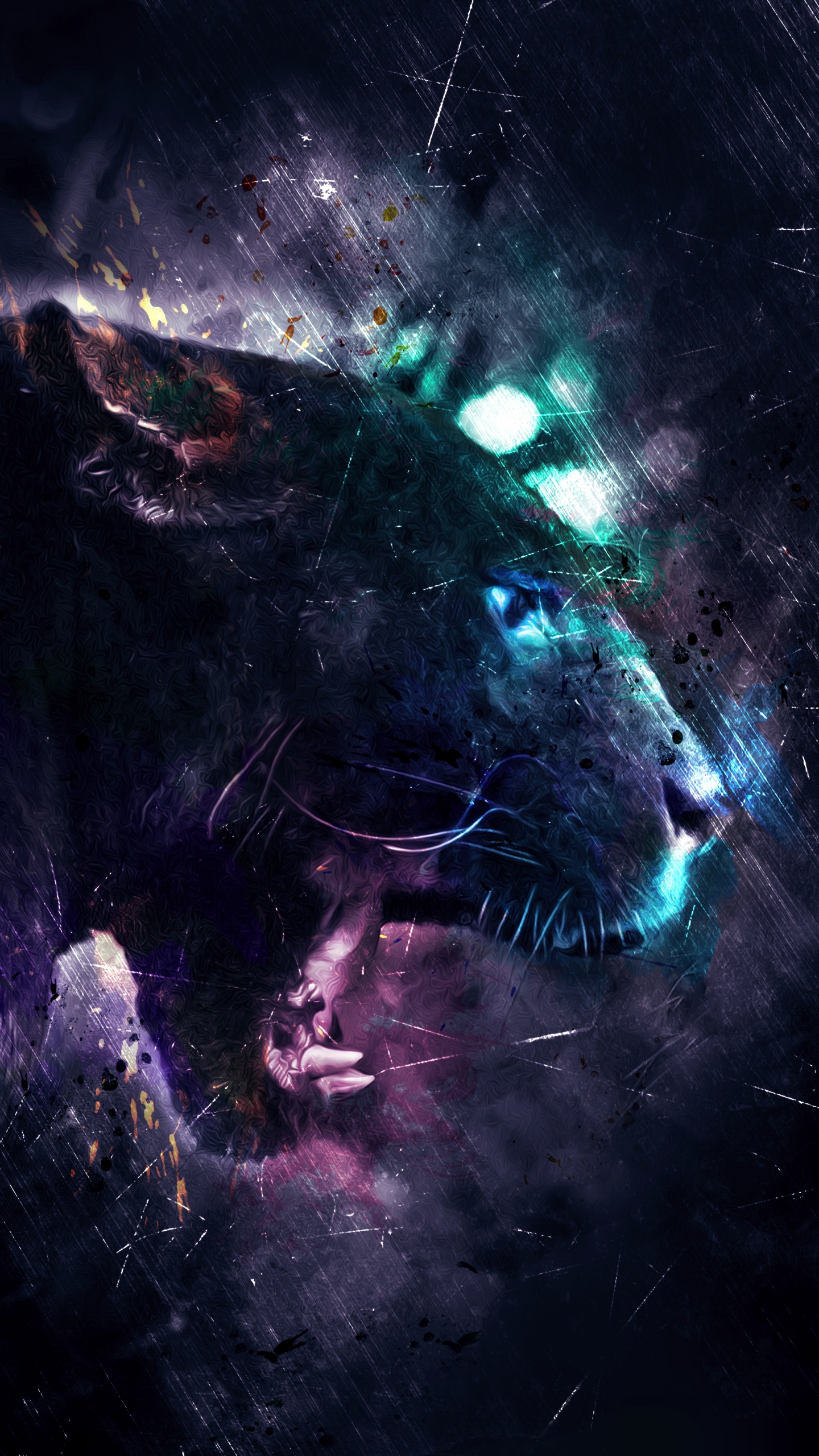 Обои темнота, кошачьих, волк, астрономический объект, бакенбарды в разрешении 1440x2560