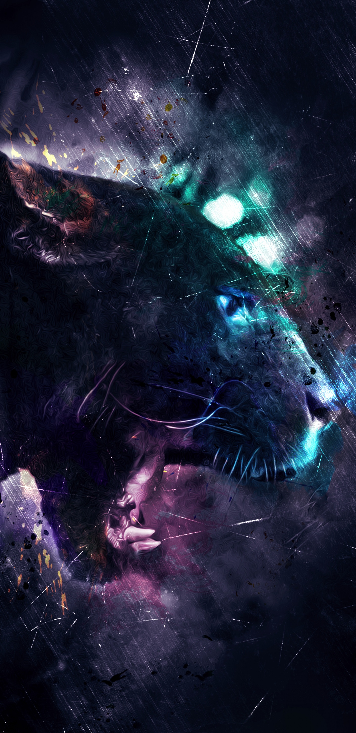 Обои темнота, кошачьих, волк, астрономический объект, бакенбарды в разрешении 1440x2960