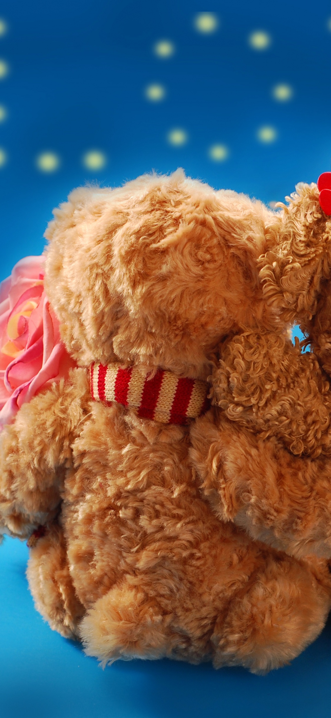 Обои День Святого Валентина, плюшевый мишка, мягкая игрушка, плюш, игрушка в разрешении 1125x2436