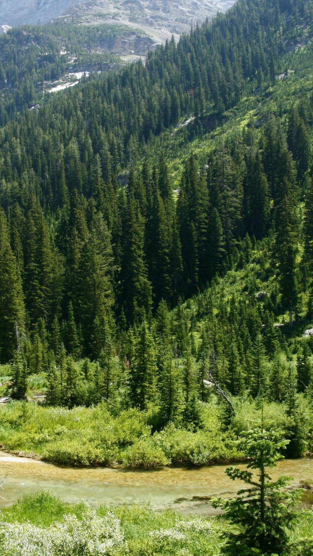 Обои Гранд титон, Каскад Каньон, парк, национальный парк, дикая местность в разрешении 1080x1920