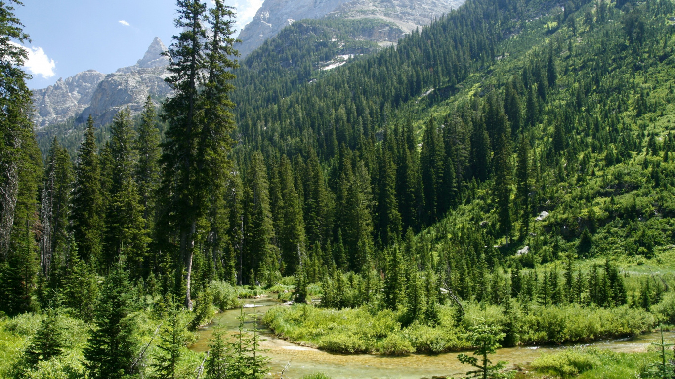 Обои Гранд титон, Каскад Каньон, парк, национальный парк, дикая местность в разрешении 1366x768