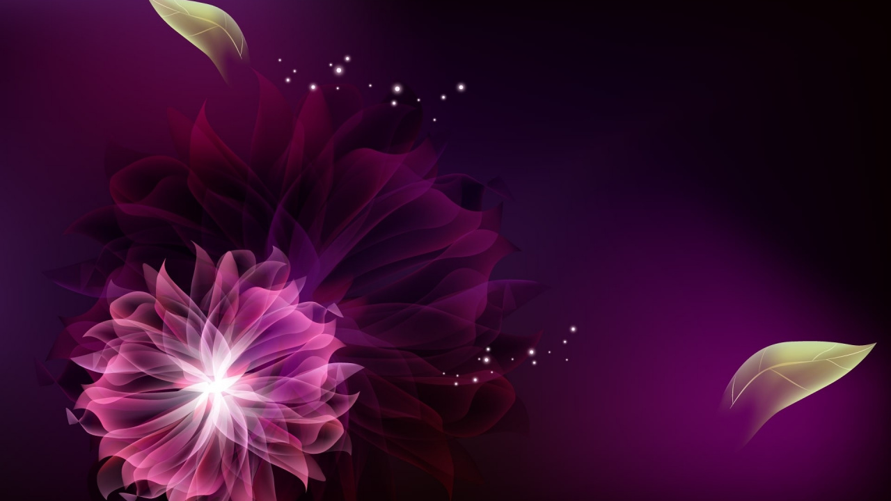 Обои пурпур, Фиолетовый, розовый, свет, лепесток в разрешении 1280x720