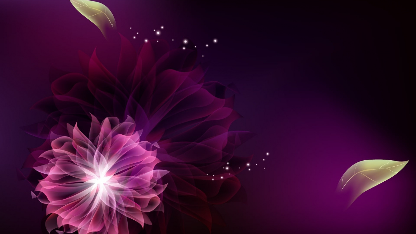 Обои пурпур, Фиолетовый, розовый, свет, лепесток в разрешении 1366x768