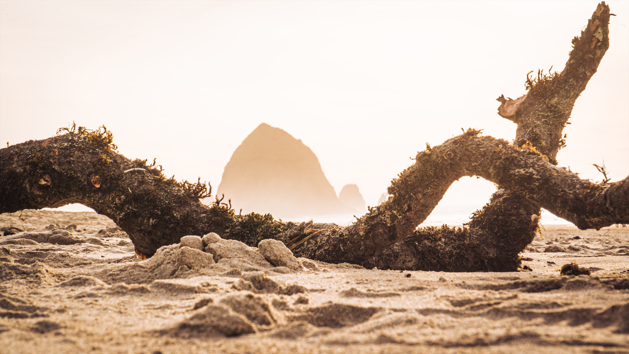 Обои рок, десерт, древесина, природный ландшафт, водоем в разрешении 1280x720