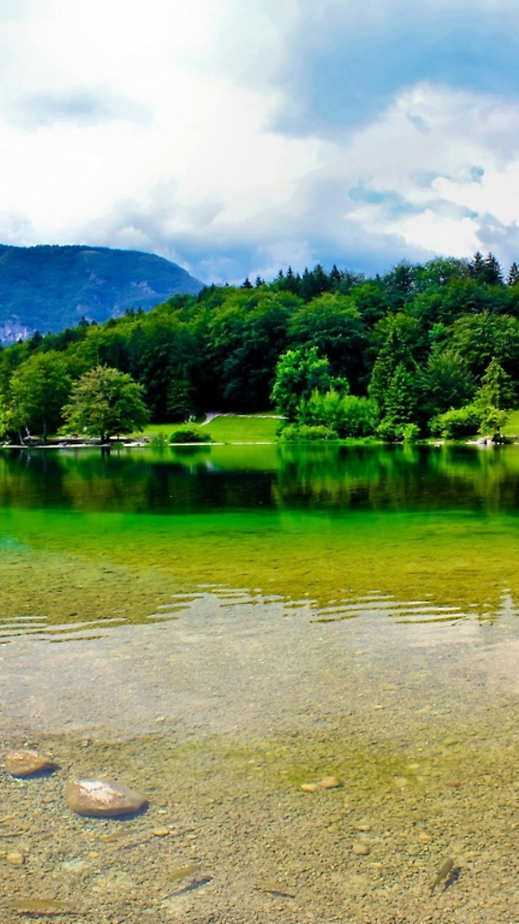 Обои природа, вода, гидроресурсы, отражение, озеро в разрешении 750x1334