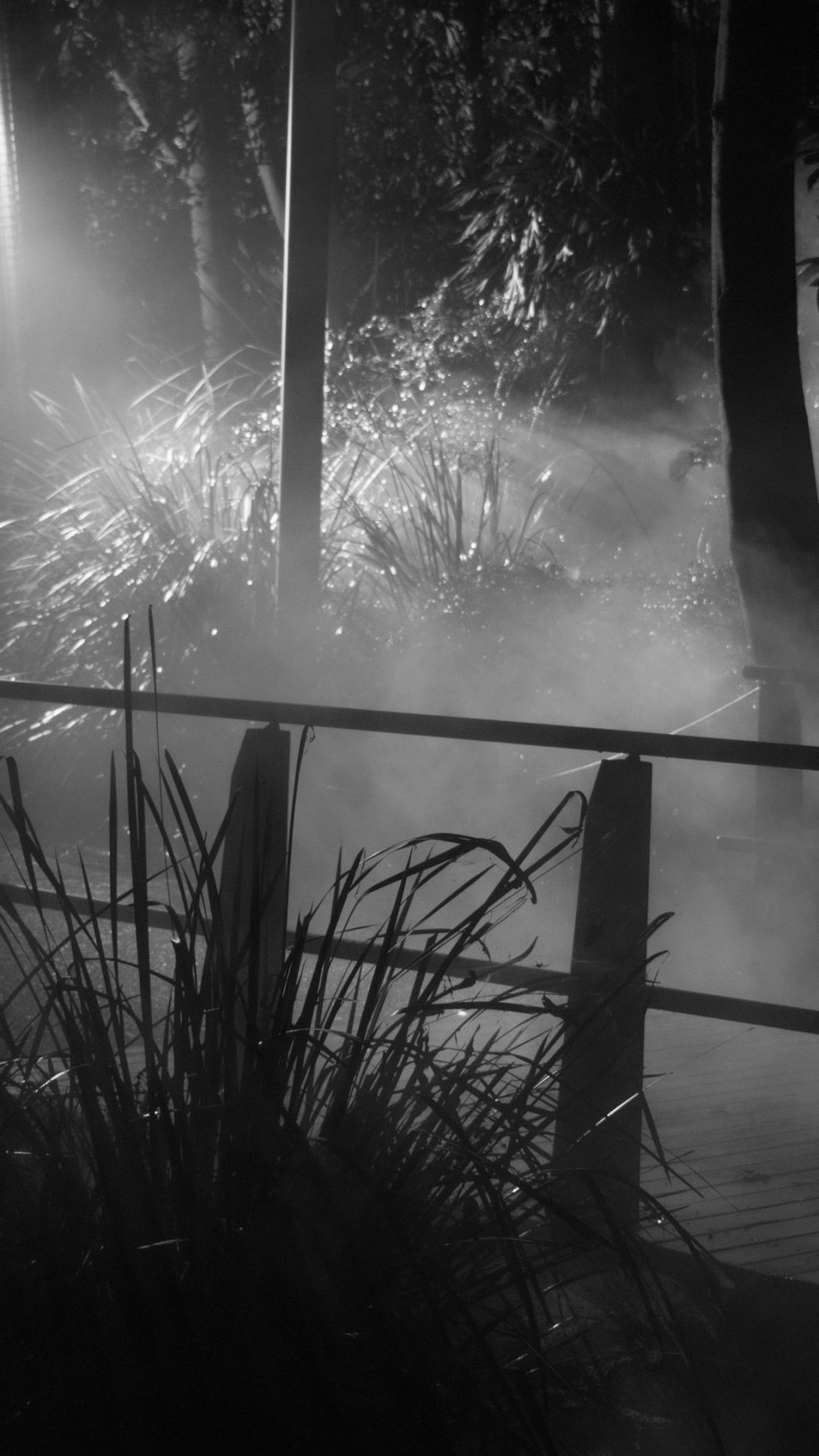 Обои вода, темнота, монохромный, полночь, туман в разрешении 1080x1920