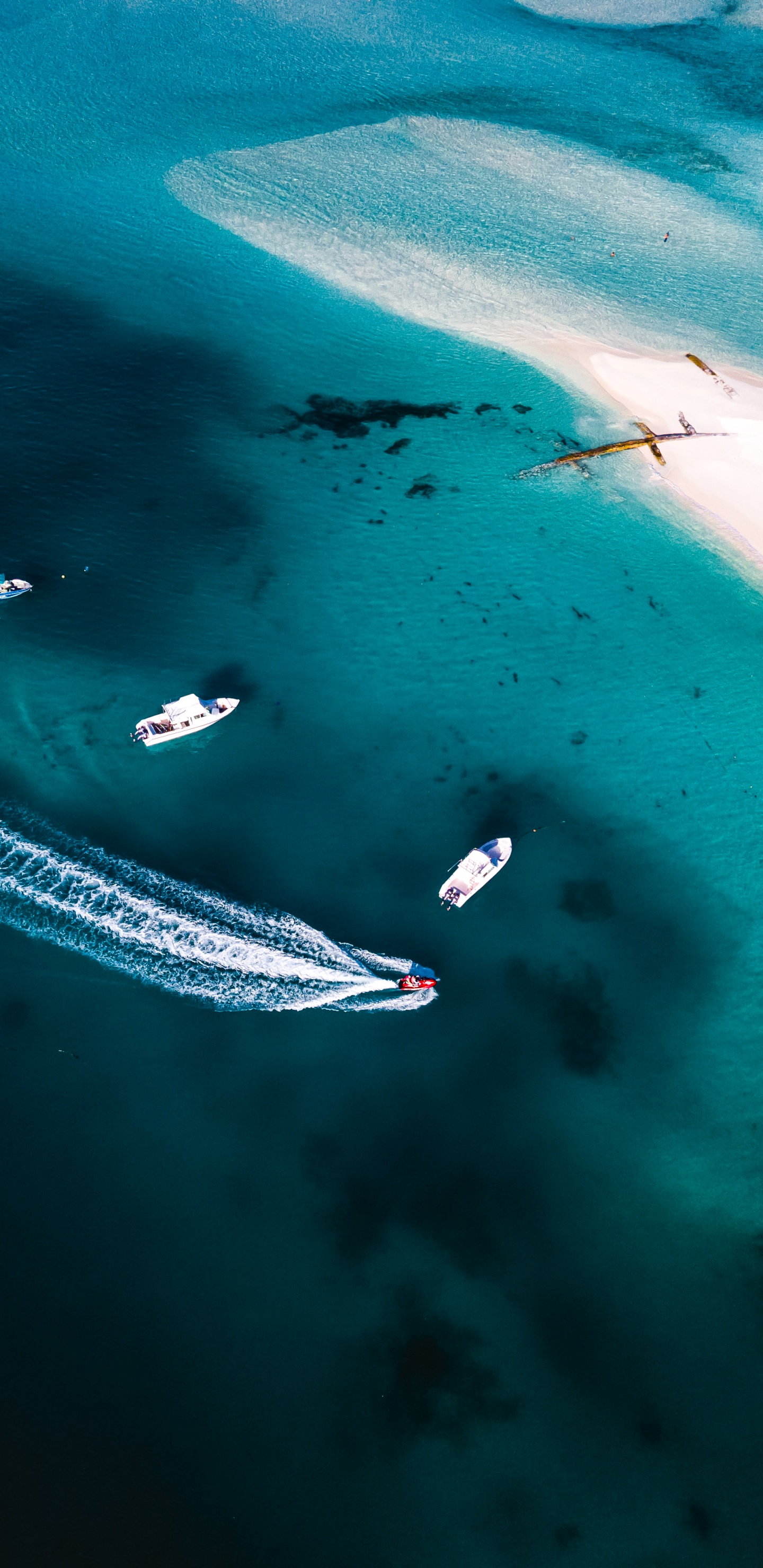 Обои море, вода, гидроресурсы, водоем, Аква в разрешении 1440x2960