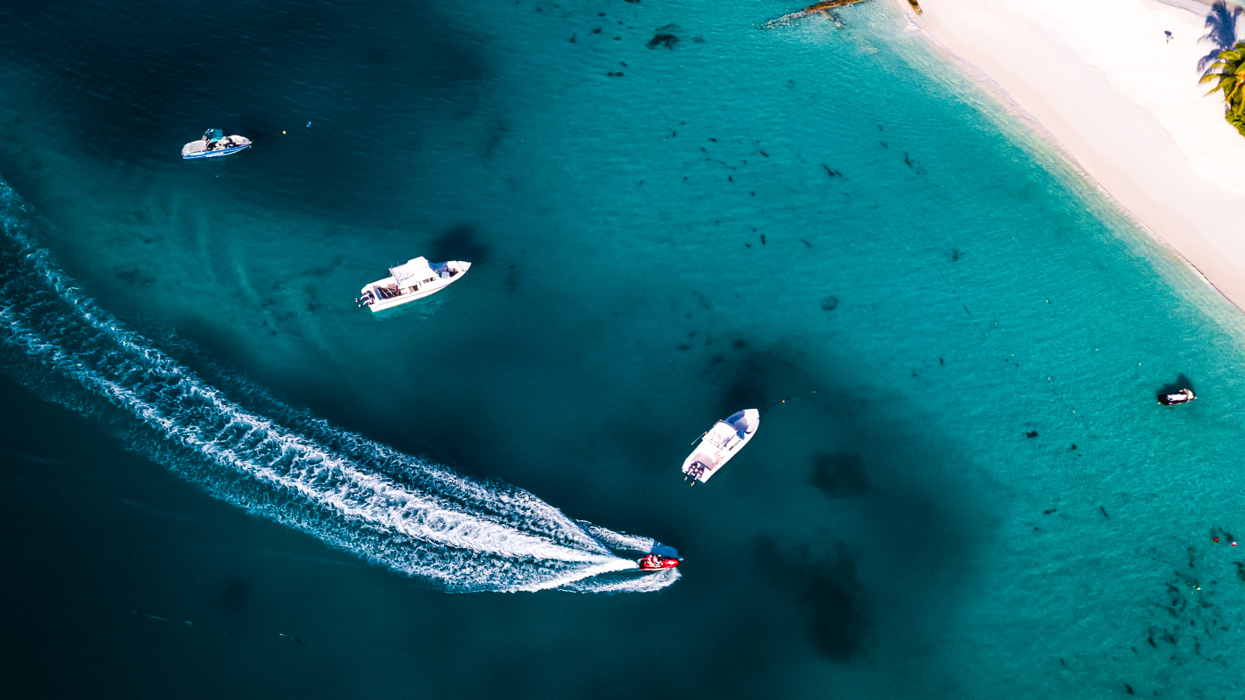 Обои море, вода, гидроресурсы, водоем, Аква в разрешении 2560x1440