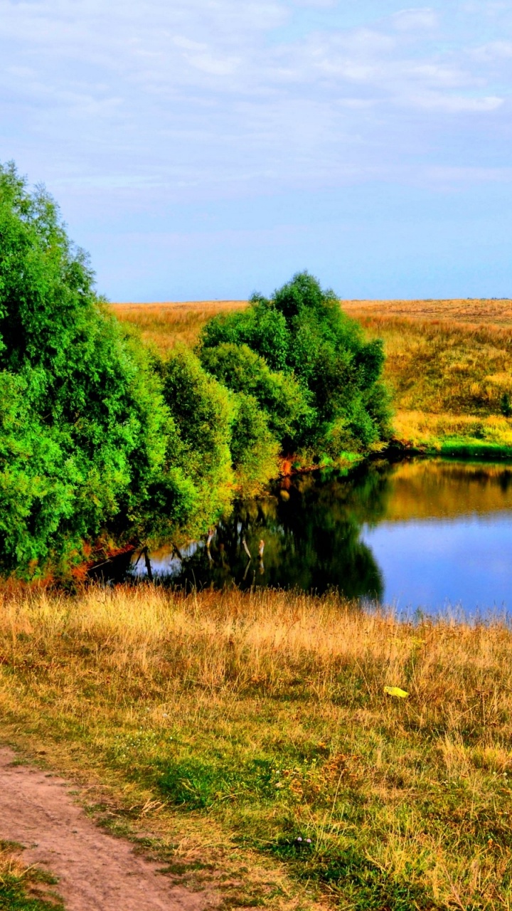 Обои природный заповедник, природа, растительность, экосистема, сенокосное угодье в разрешении 720x1280