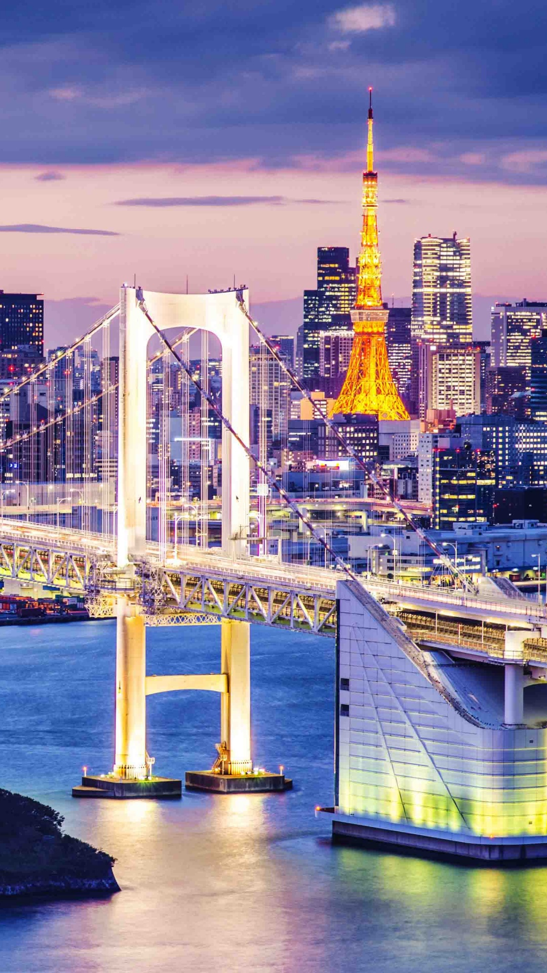 Обои городской пейзаж, город, линия горизонта, ориентир, мост в разрешении 1080x1920