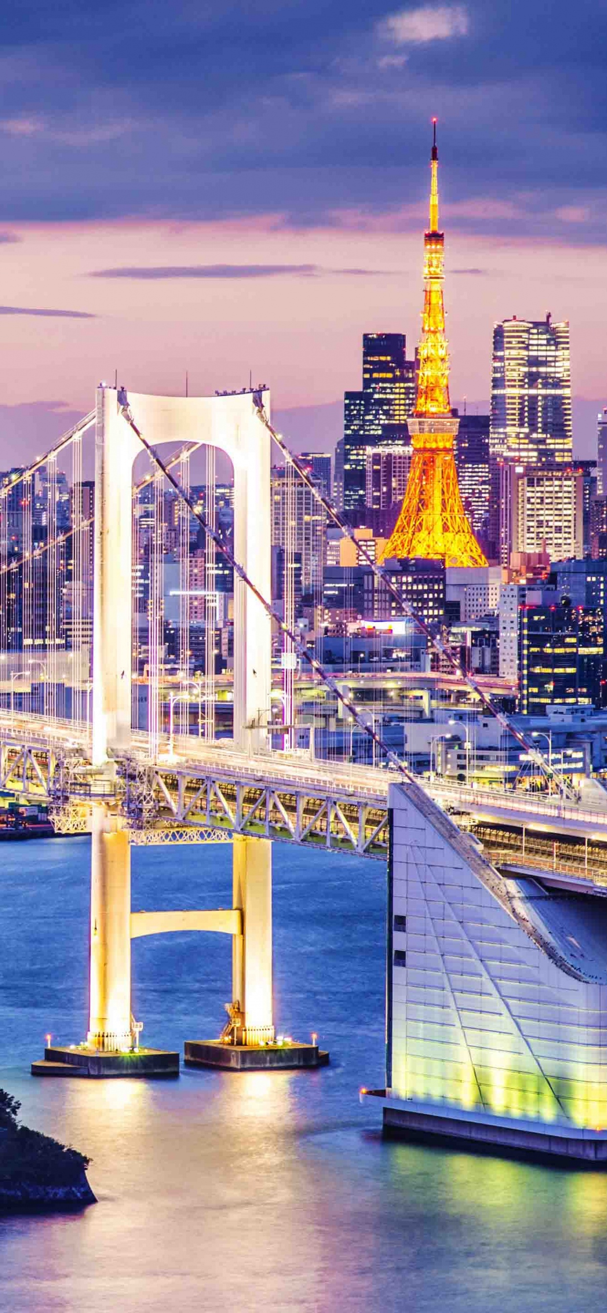 Обои городской пейзаж, город, линия горизонта, ориентир, мост в разрешении 1242x2688