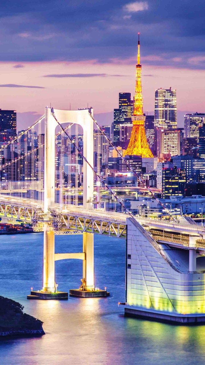 Обои городской пейзаж, город, линия горизонта, ориентир, мост в разрешении 720x1280