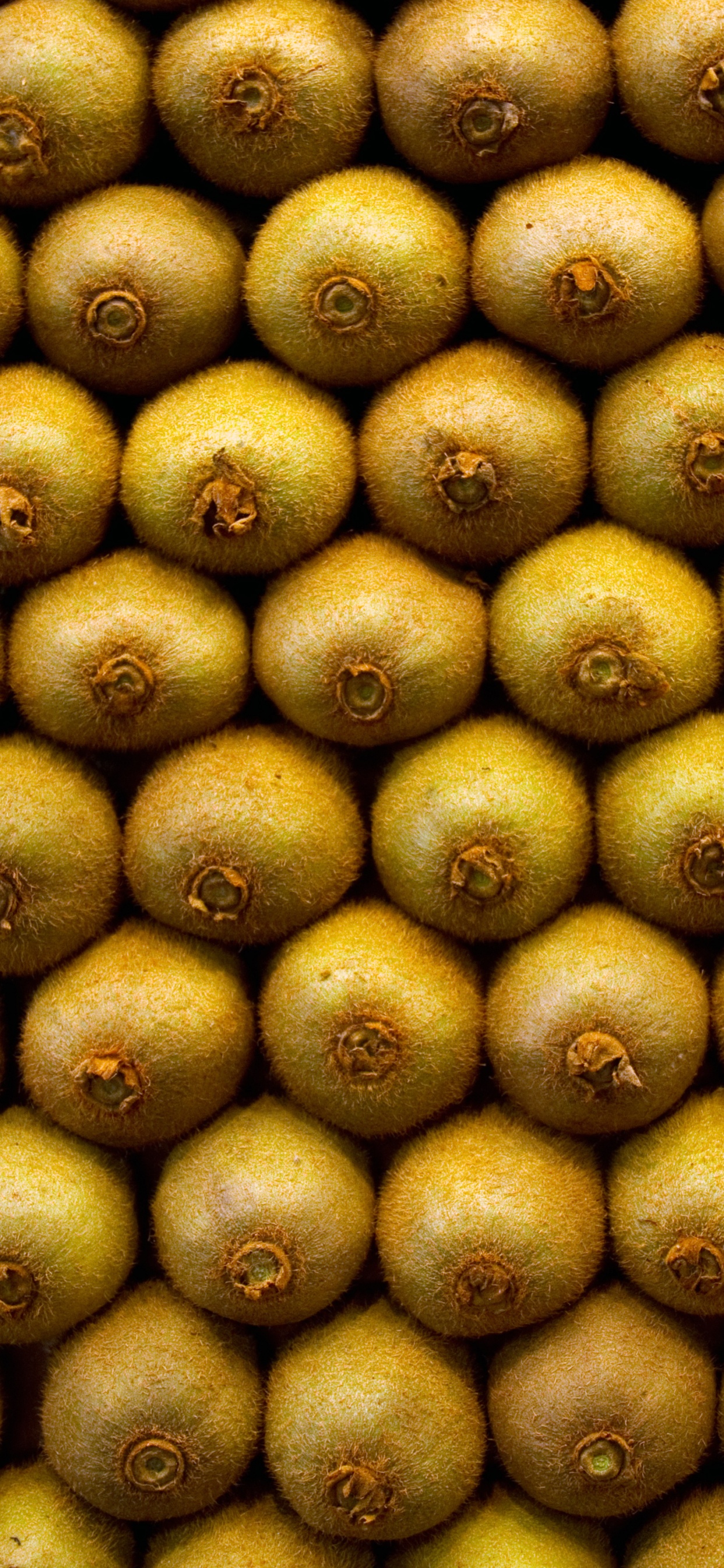 Обои фрукты, природные продукты, пища, растение, продукция в разрешении 1242x2688