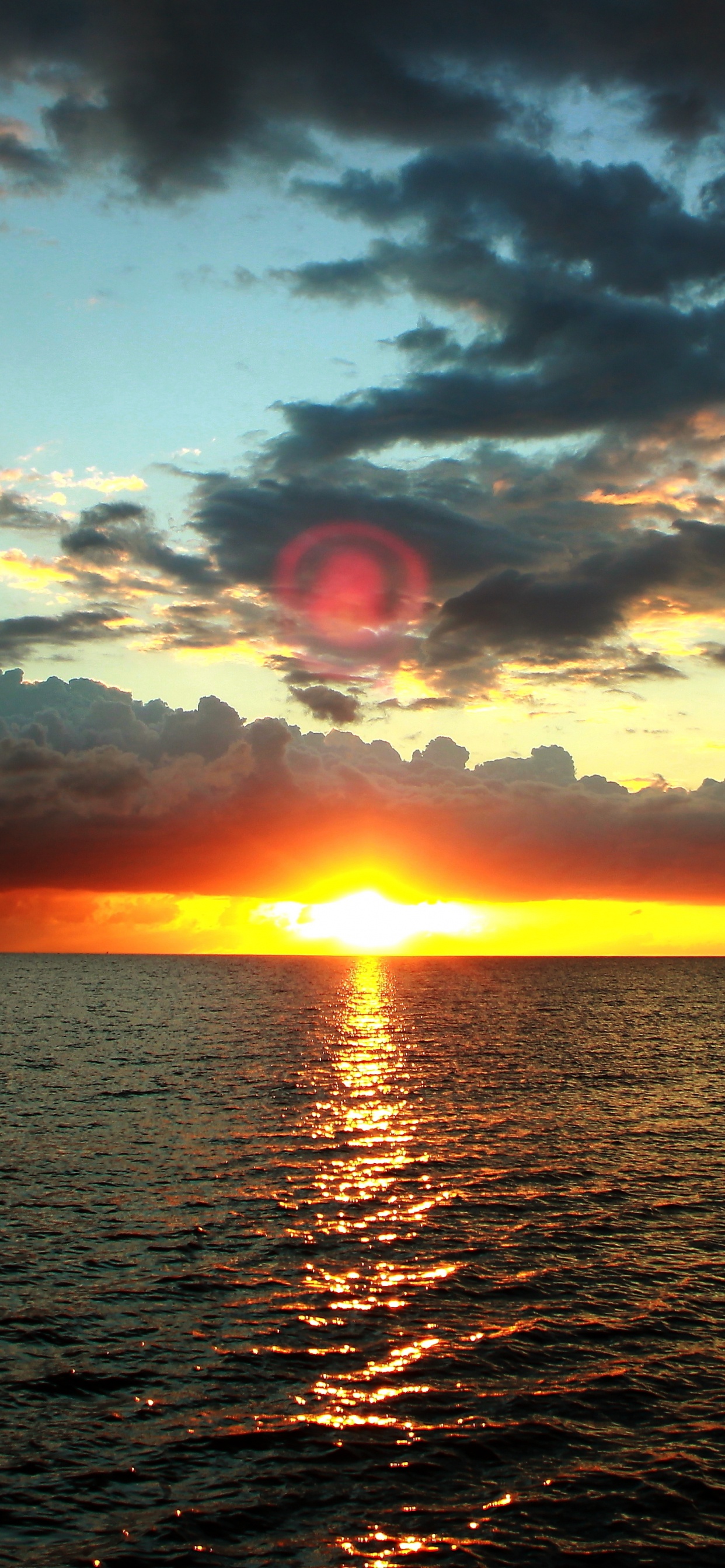 Обои закат, море, горизонт, природа, восход солнца в разрешении 1242x2688