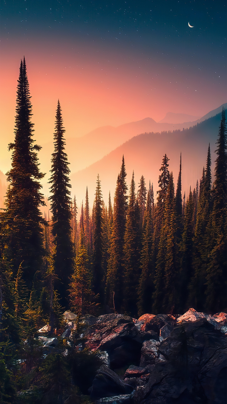 Обои природа, арт, пейзаж, пейзажная живопись, атмосфера в разрешении 750x1334