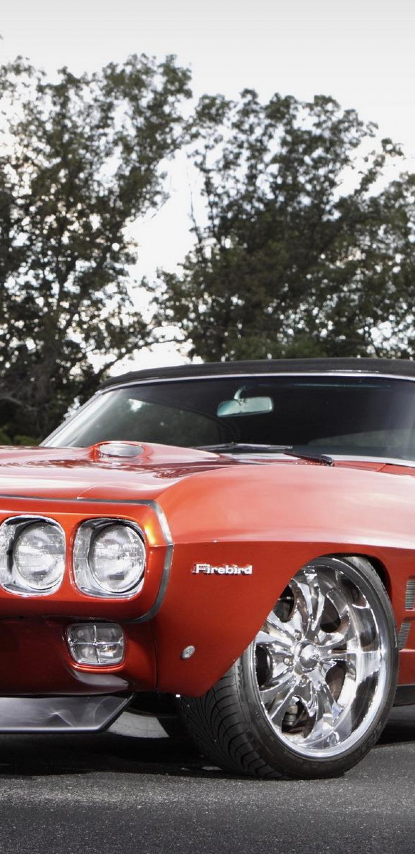 Обои Пони-кар, бампер, кузов купе, Понтиак Файерберд, седан в разрешении 1440x2960