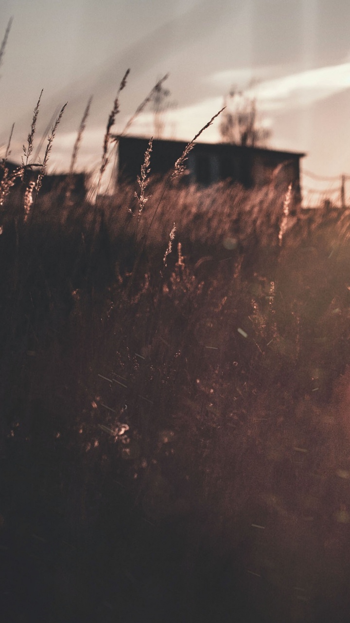 Обои атмосфера, солнечный свет, ночь, свет, вечер в разрешении 720x1280