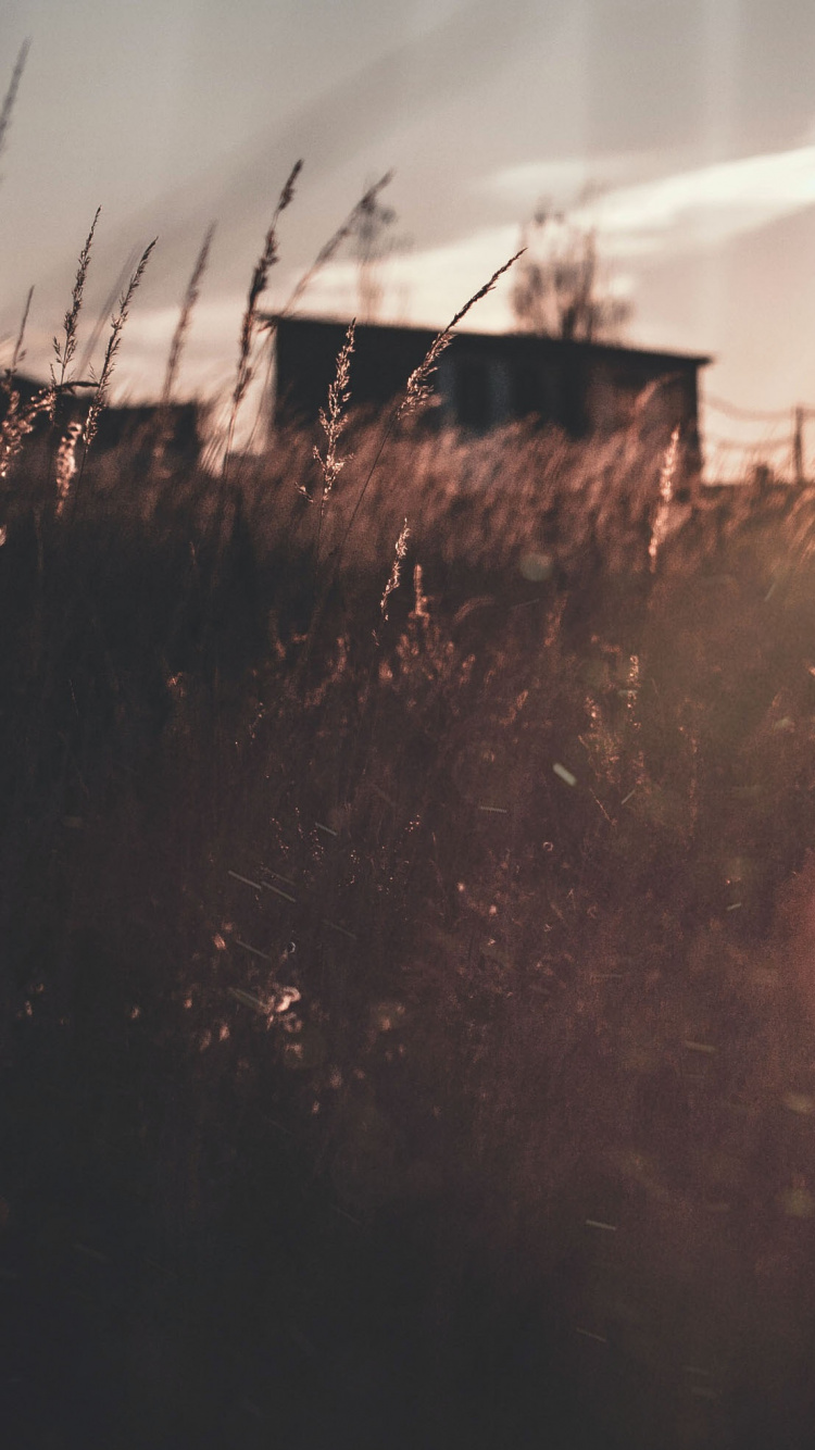 Обои атмосфера, солнечный свет, ночь, свет, вечер в разрешении 750x1334