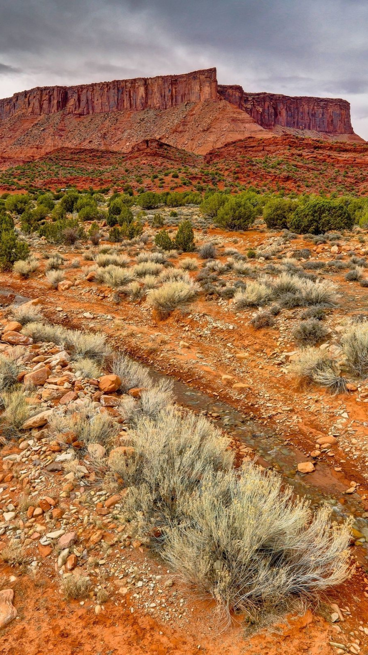 Обои бесплодные земли, пейзаж, природа, рок, дикая местность в разрешении 750x1334