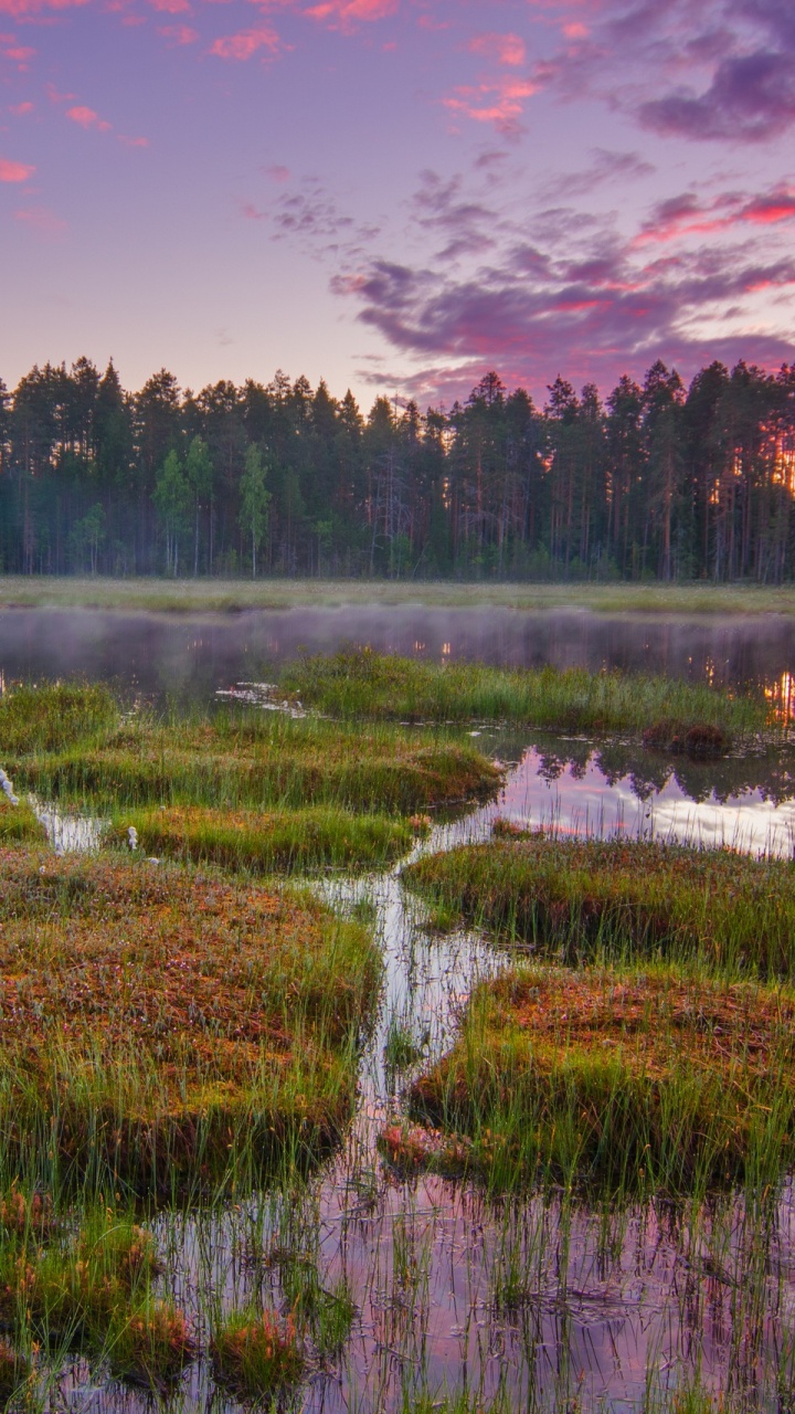 Обои природный заповедник, Кивач, природа, отражение, дикая местность в разрешении 720x1280