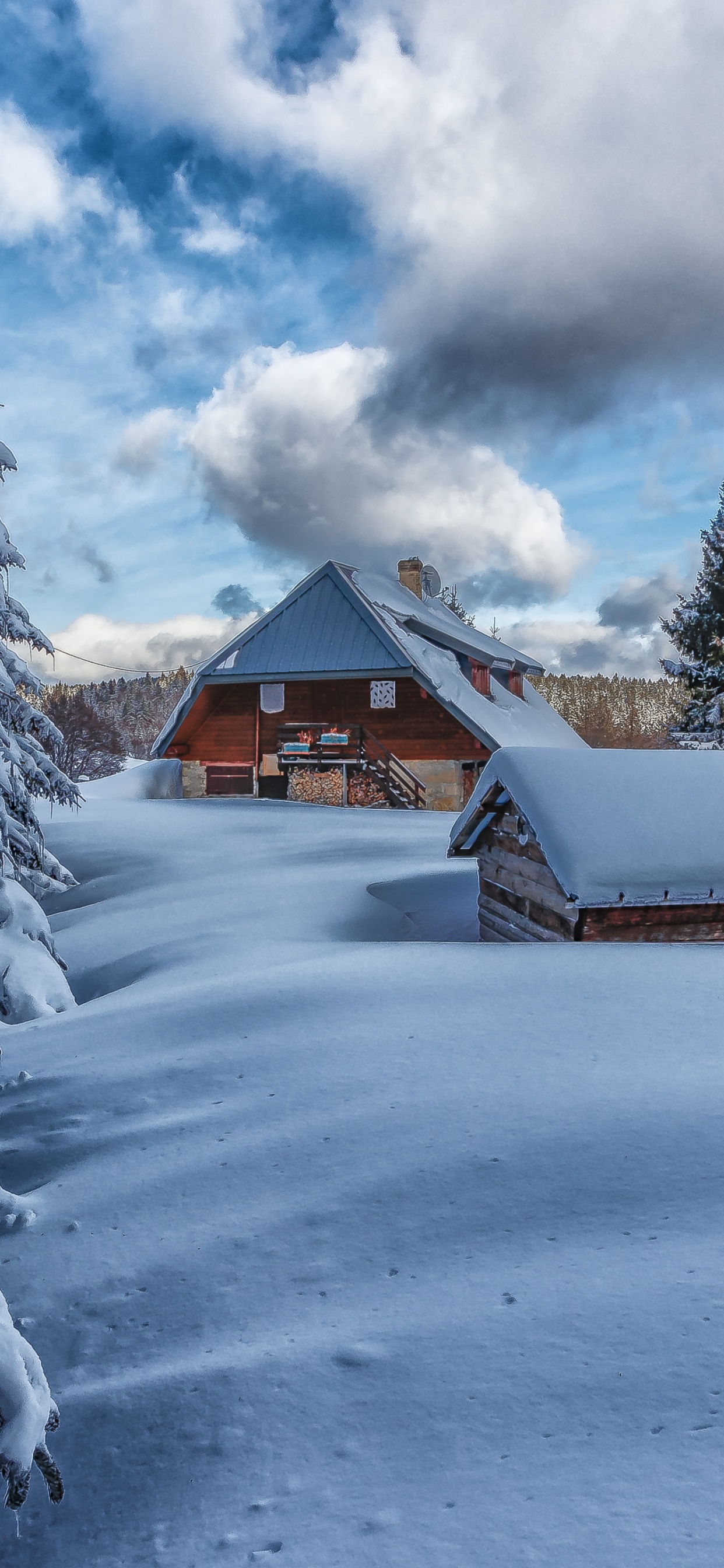 Обои снег, Itzehoer sv, облако, растение, дерево в разрешении 1242x2688