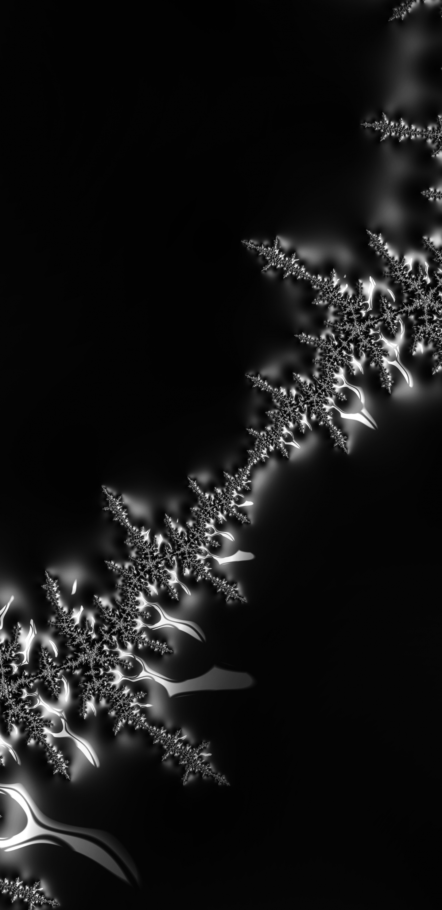 Обои вода, растение, цветок, жидкий, прут в разрешении 1440x2960