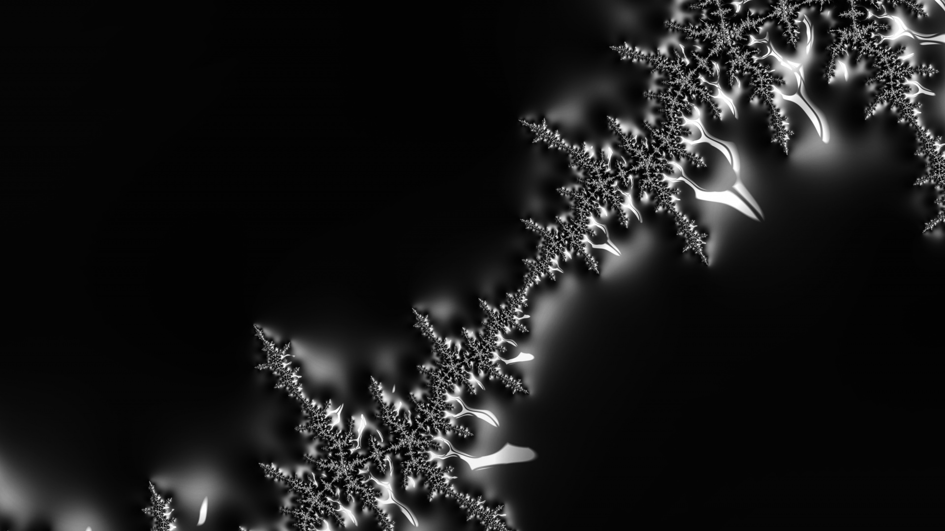 Обои вода, растение, цветок, жидкий, прут в разрешении 1920x1080