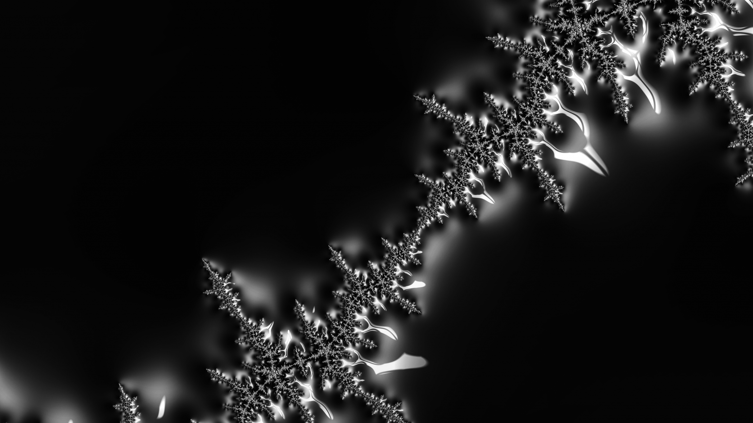 Обои вода, растение, цветок, жидкий, прут в разрешении 2560x1440