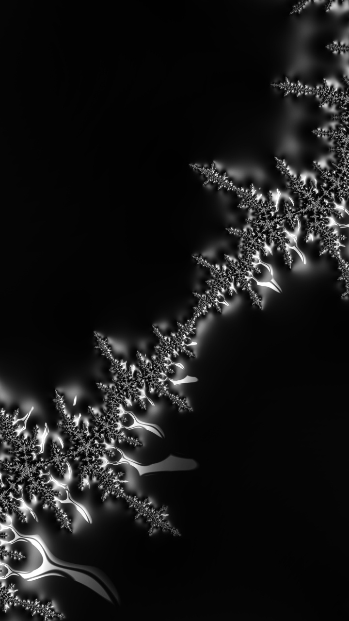 Обои вода, растение, цветок, жидкий, прут в разрешении 720x1280