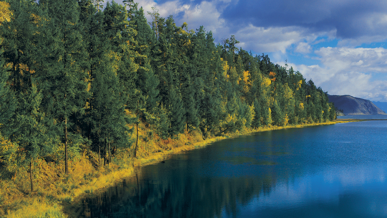 Обои Сибирь, природа, отражение, вода, дерево в разрешении 1280x720