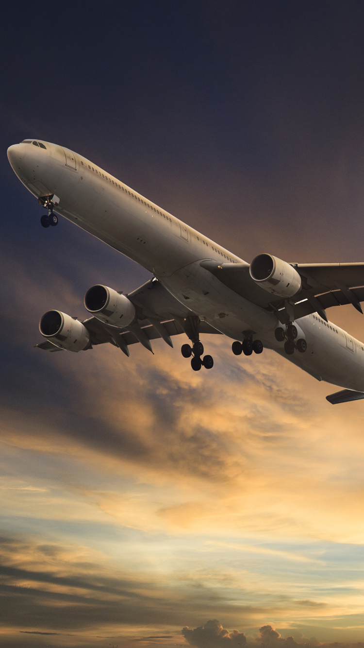 Обои самолет, полет, самолеты, авиалайнер, авиация в разрешении 750x1334