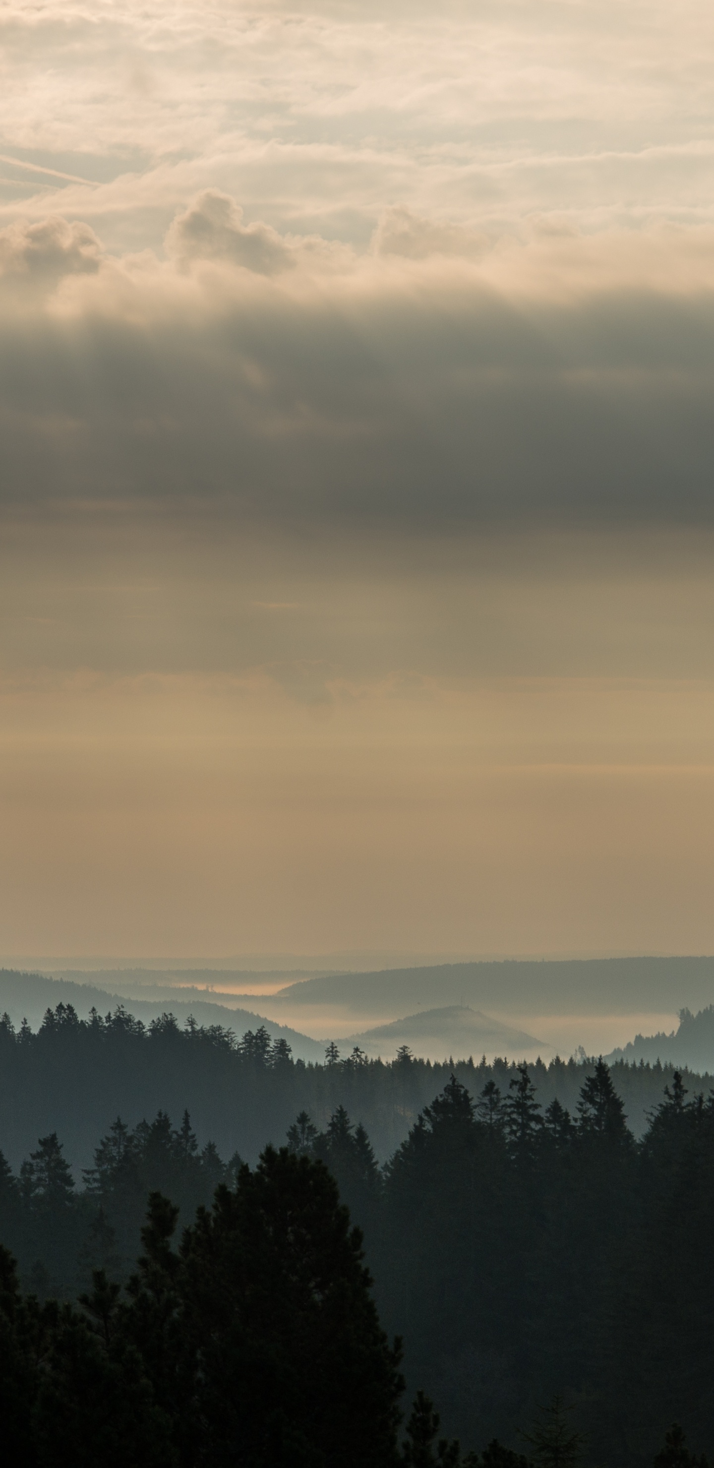 Обои утро, облако, природа, гора, горный рельеф в разрешении 1440x2960