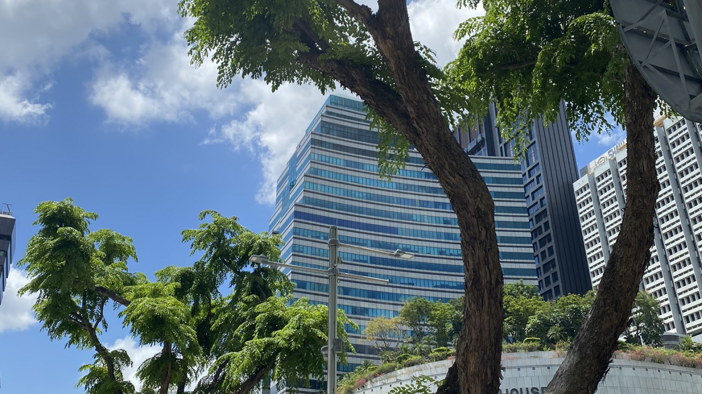 Обои пальмовые рощи, дерево, древесные растения, башня, тень в разрешении 1366x768