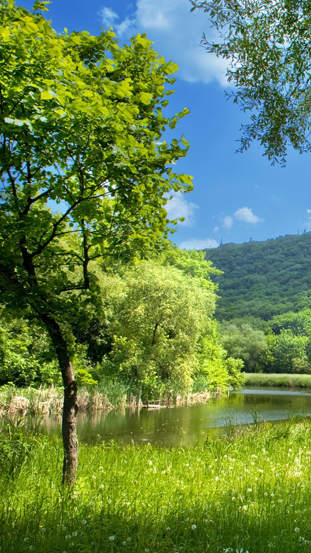 Обои пейзаж, экосистема, небо, природный заповедник, пейзажи гор в разрешении 1080x1920