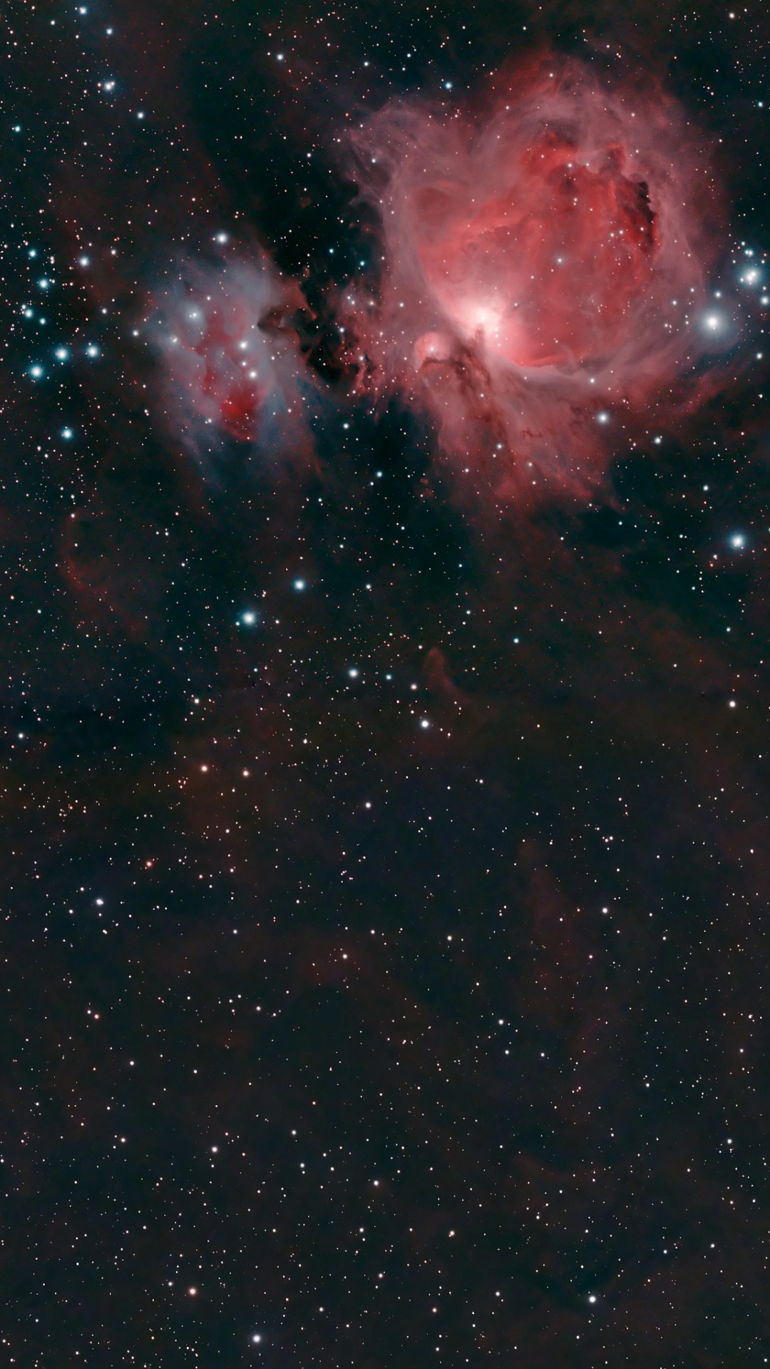 Обои Туманность Конская Голова, туманность, Туманность Ориона, астрономический объект, космическое пространство в разрешении 1080x1920
