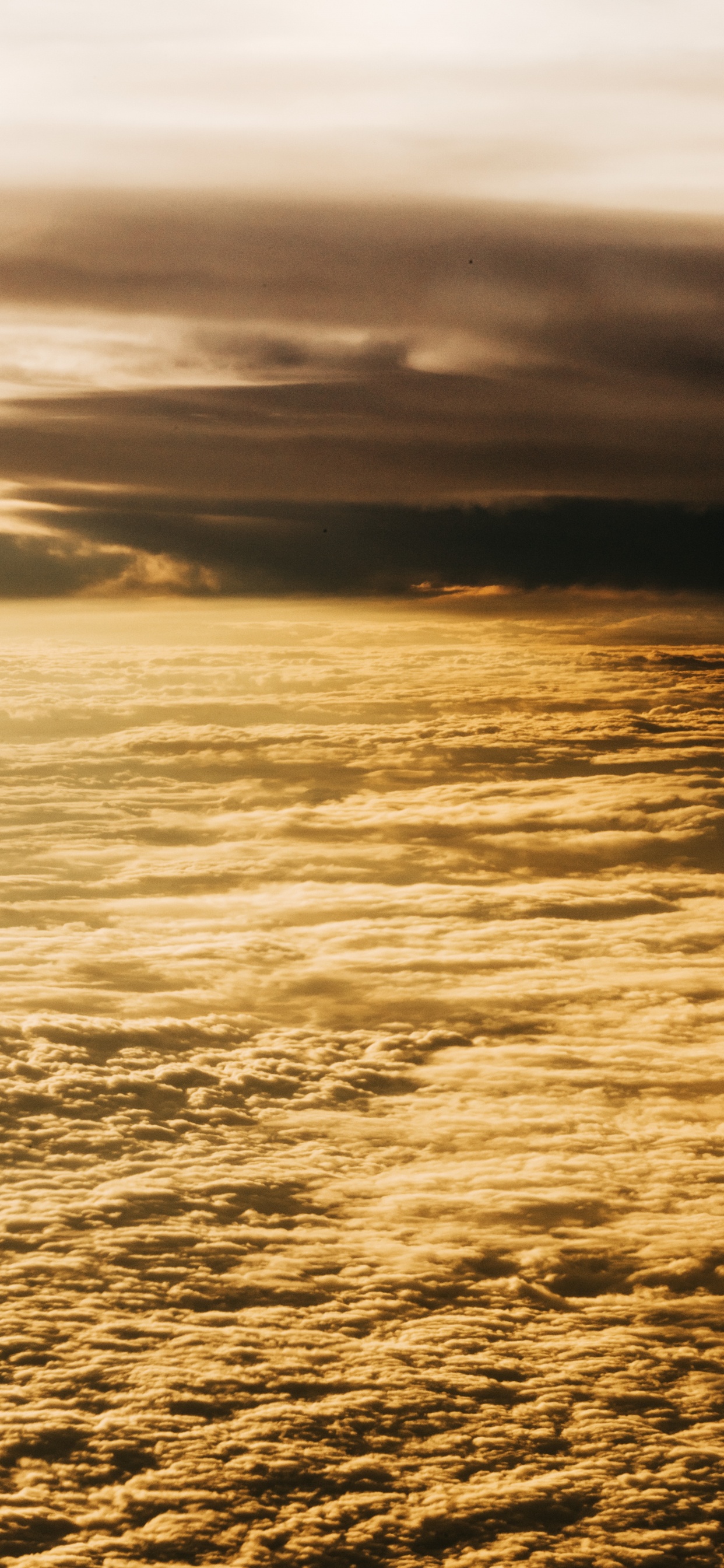 Обои горизонт, закат, вода, море, океан в разрешении 1242x2688